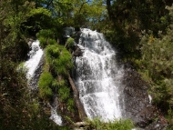 Ruta: fervenzas no río Eume (As Pontes)